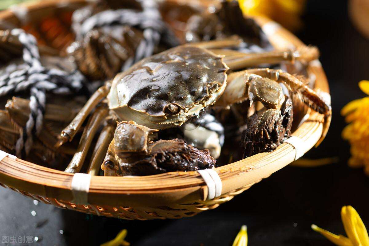 中国螃蟹产地哪里的最有名（驰名海外的中国的“10大螃蟹产地”介绍）