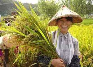 草莓原产地何时引进中国的（3分钟了解各种食材传入中国时间表）