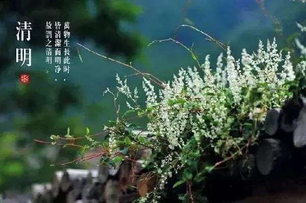 在古时候清明节又称什么节（趣谈清明节的前世今生）