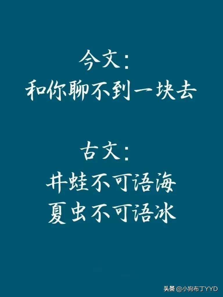 夏虫不足以语冰的典故出处（古文夏虫不可语冰全诗出处和翻译赏析）