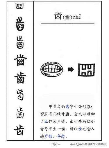 中国古代文字的发展顺序（图解汉字演变过程）