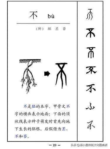 中国古代文字的发展顺序（图解汉字演变过程）