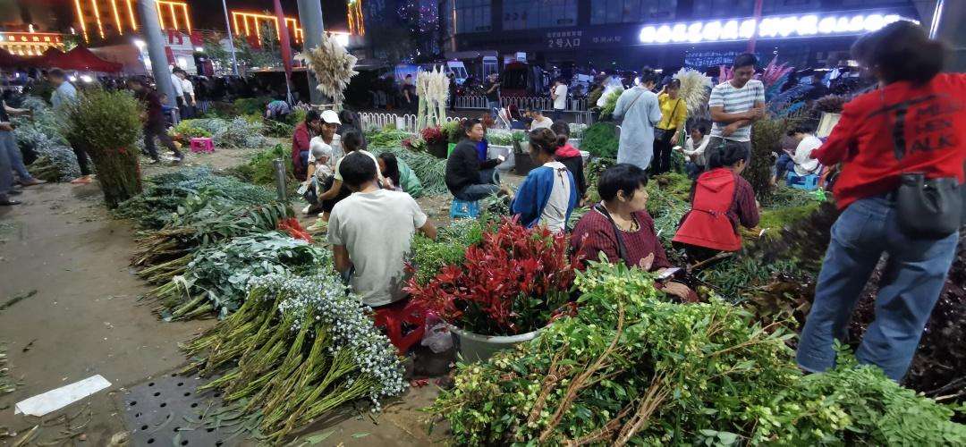 昆明花市分别是哪两个（昆明最受欢迎的2大花市介绍）