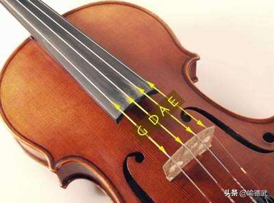 西洋小提琴有几根弦（小提琴的构造介绍）