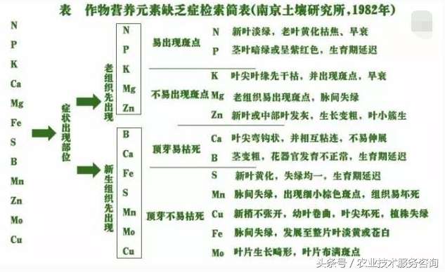 常量元素和微量元素顺口溜（作物缺中微量元素口诀）