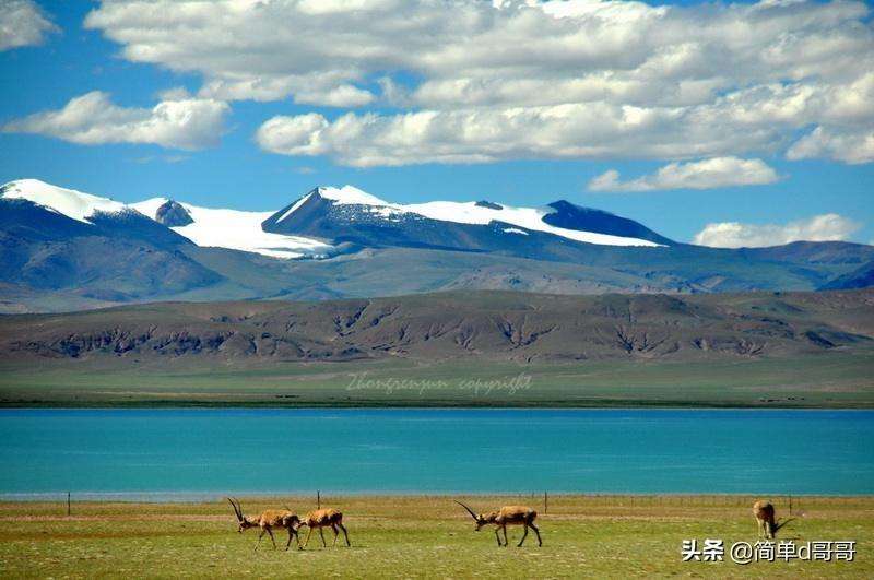 中国十大湖泊面积排名（我国十大湖面积排名顺序）