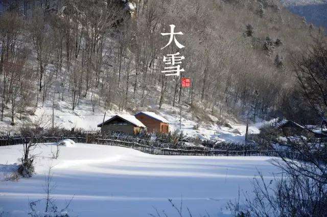 有关物候现象的例子（大雪节气的物候现象）