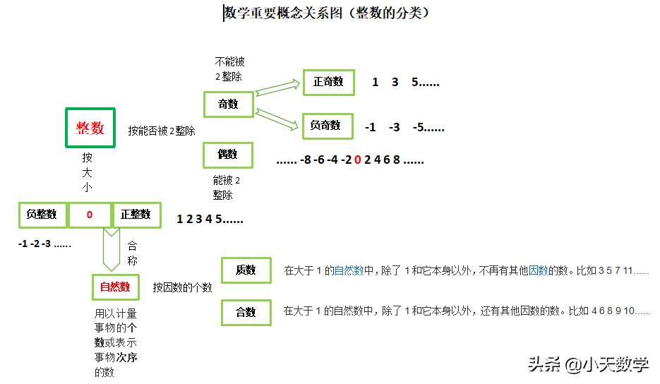 小学关于数的分类（图解数的分类重要概念）