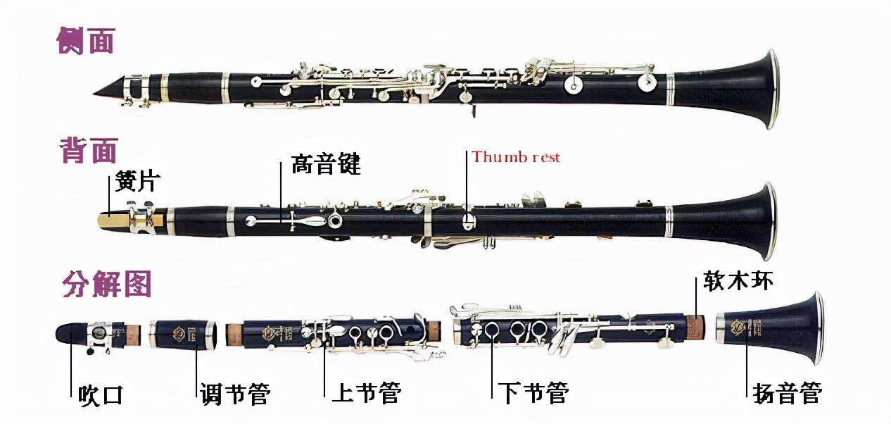 初学单簧管指法图解（单簧管入门简单指法教学）