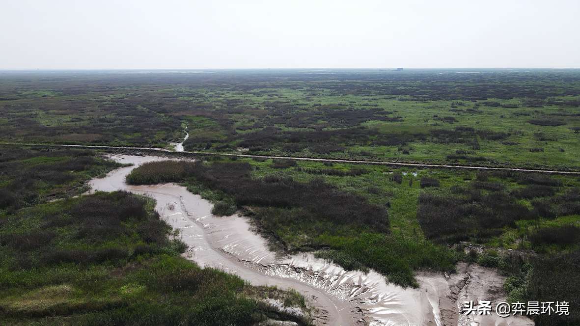 河道淤泥怎么处理（分享一种巨省事的淤泥处理方法）