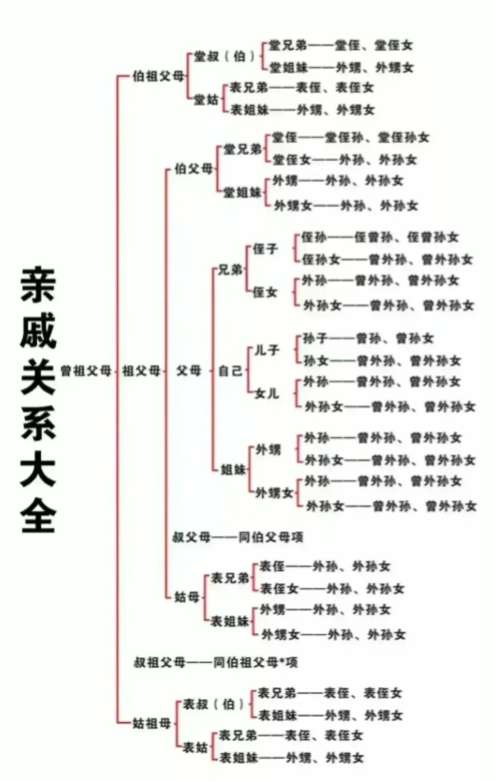 直系亲属一览表（家族辈分关系一览）