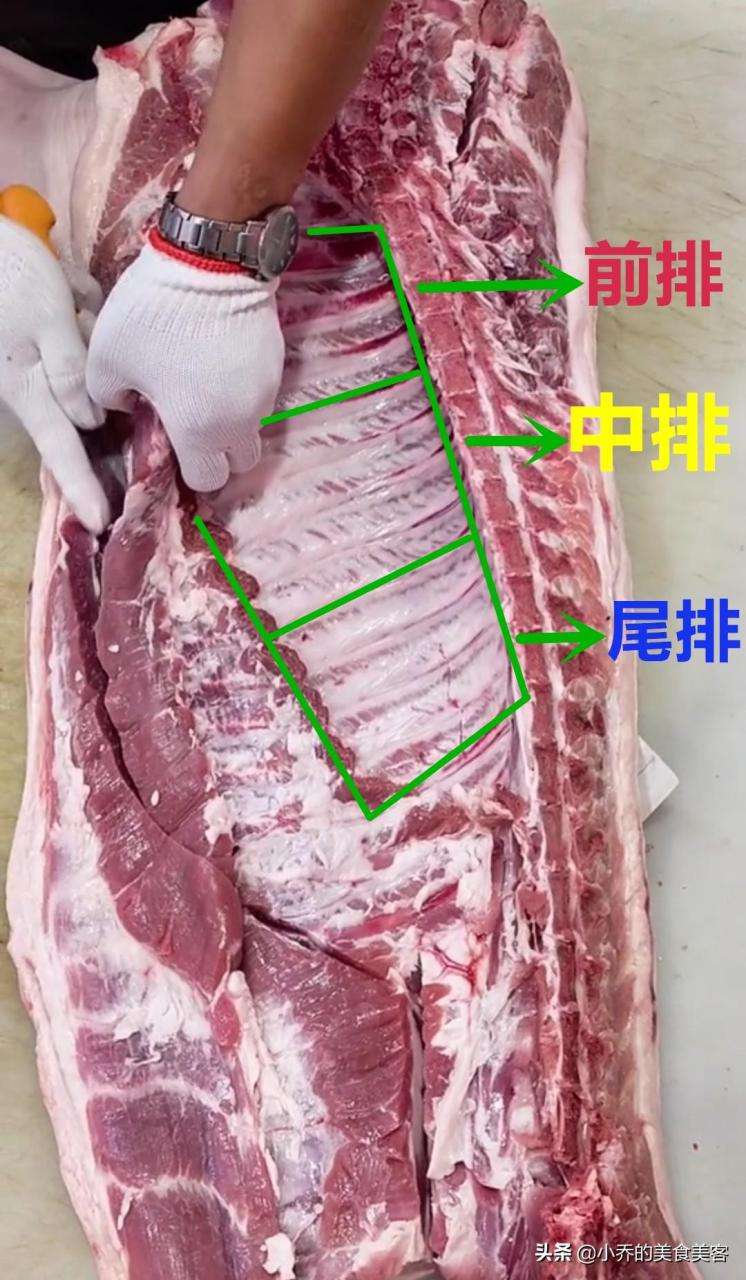 猪扇骨是哪个部位图解（5张图教你认识猪身不同部位的骨头）