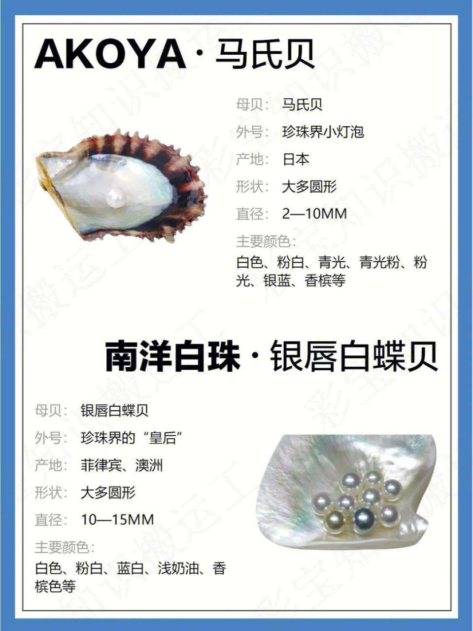 海水珍珠究竟有几种（海水珍珠的种类和等级）