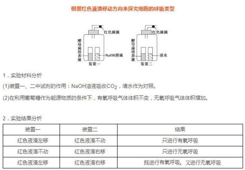 呼吸作用场所在身体哪个部位（高中生物“呼吸作用”图示及解析）