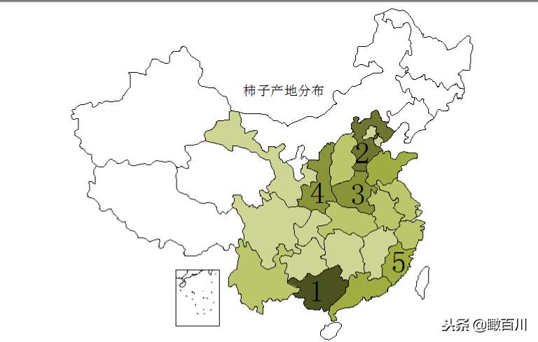 柿子的产地主要在哪里（各省市柿子产地及产量对比）