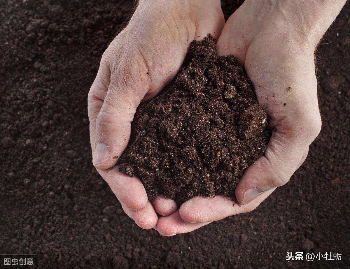 面对土地退化我们应该怎么做（我国土壤退化现状及修复措施）