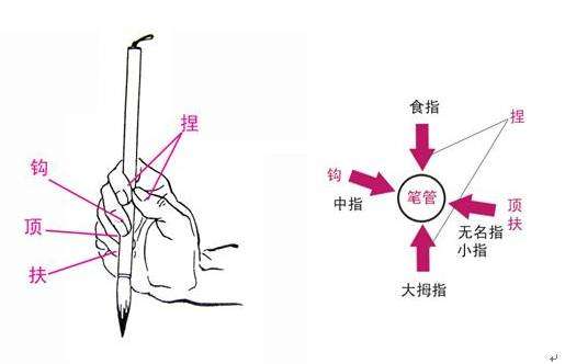 初学者怎样练毛笔握笔姿势（毛笔握笔方法和握笔姿势书法入门教程）