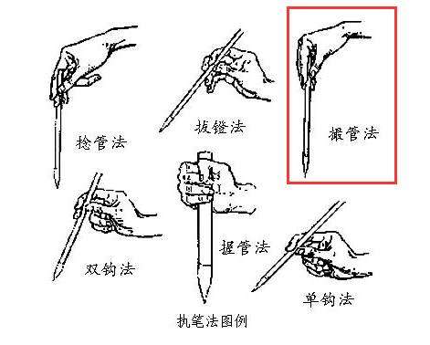 初学者怎样练毛笔握笔姿势（毛笔握笔方法和握笔姿势书法入门教程）