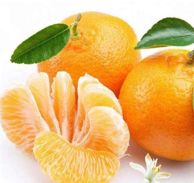 不同树龄的柑橘施肥有讲究（柑橘全年施肥时间段方案）