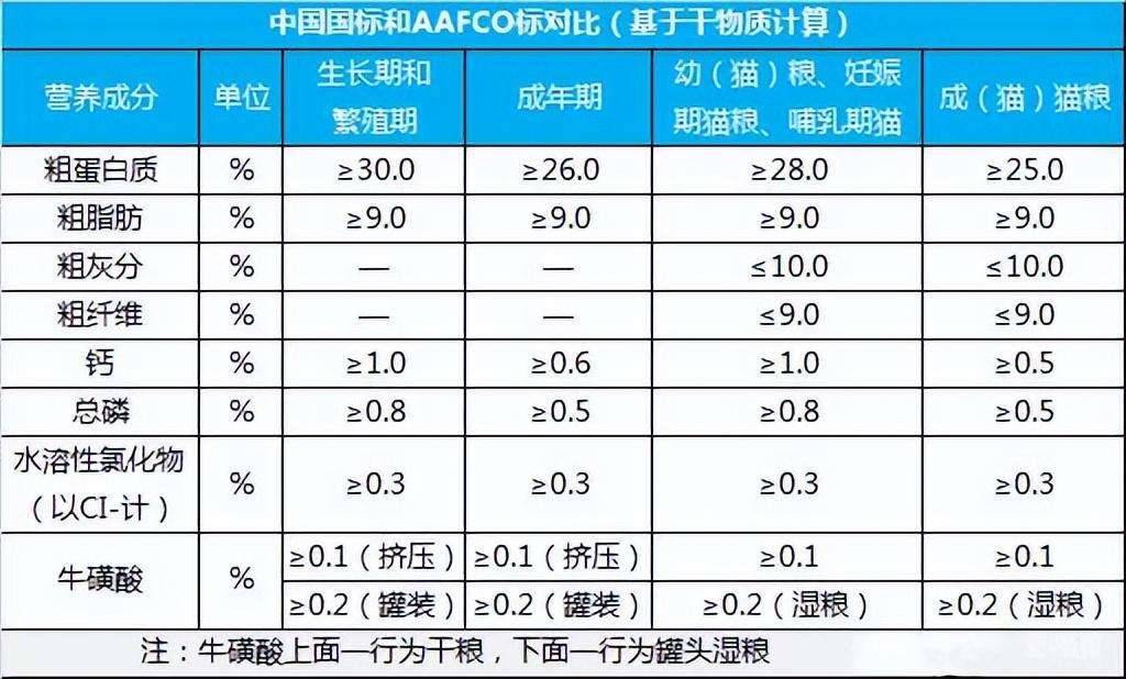 新手养猫入门攻略（第一次养猫准备这些就够了）