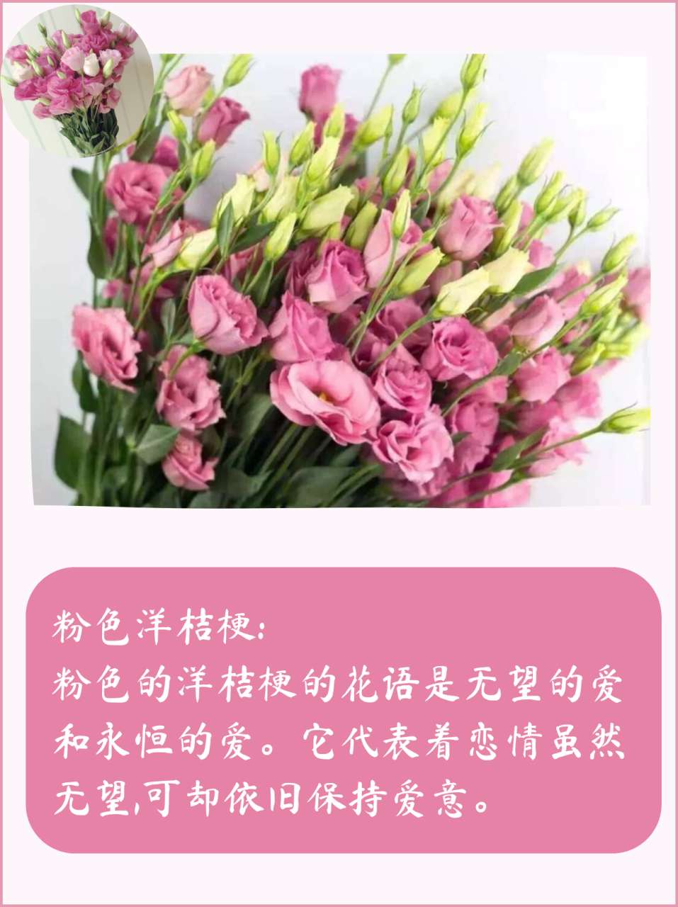 洋桔梗花的花语和象征（不同颜色的洋桔梗鲜花花语及寓意）