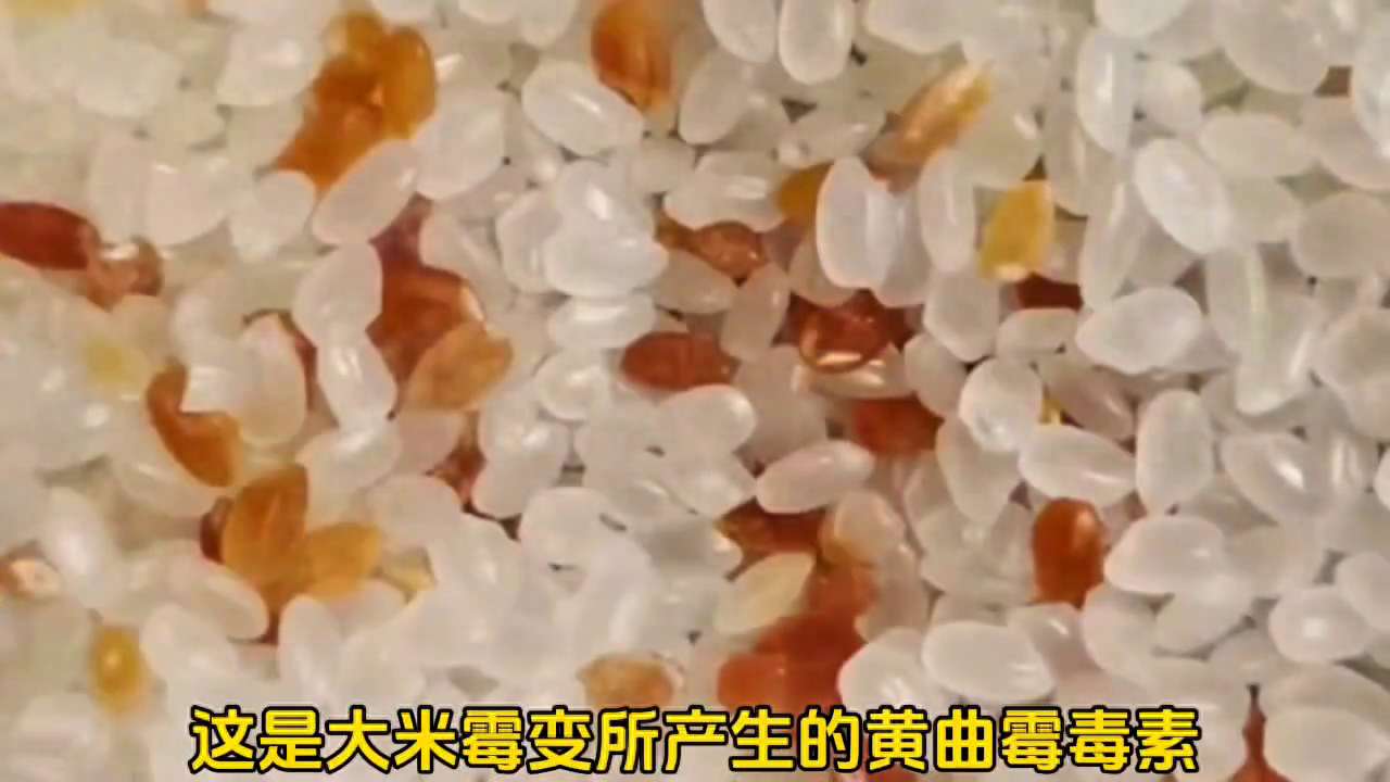 如何鉴别米饭是否变质（一招教会您食物变质如何辨别）