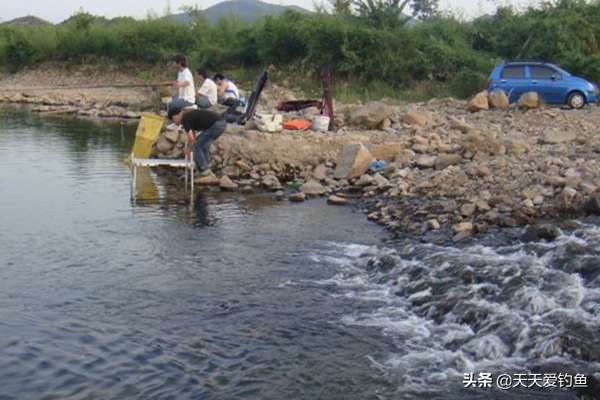 垂钓鲫鱼钓点怎么选择（鲫鱼最喜欢扎堆的4种钓点）