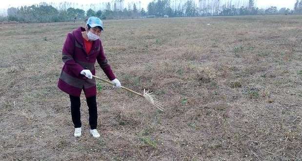 土地退化的表现形式有哪些（浅析土壤退化的表现形式以及退化原因）