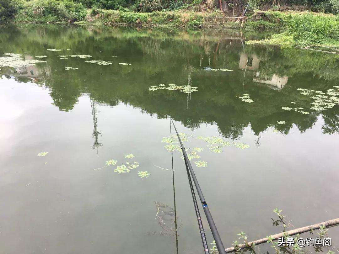 无钩调漂好还是带钩调漂好（一文讲解带钩调和不带钩调有什么区别）