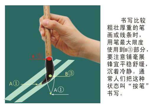 初学者怎样练毛笔握笔姿势（毛笔握笔方法和握笔姿势书法入门教程）