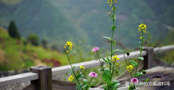 记录美好生活的朋友圈短句说说（享受生活很治愈的唯美语录文案）