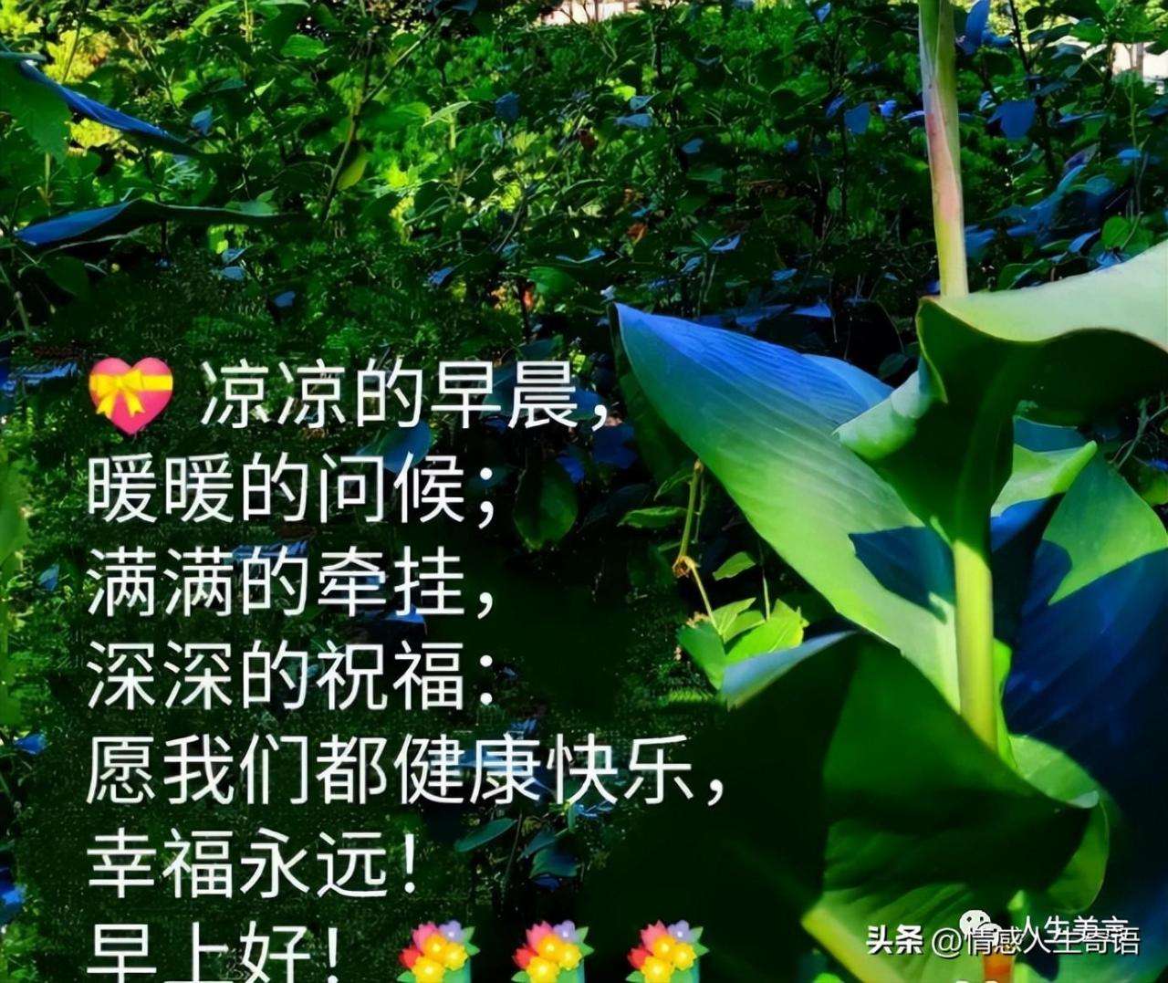 写给同学的祝福语（老朋友早上好短语问候）