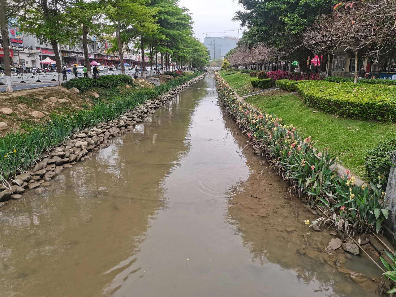 水生植物的种植方法（水生植物栽培方案及标准）